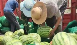 莱芜区吃瓜视频公司