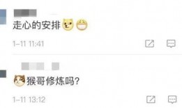 酒店评论区吃瓜视频怎么拍,揭秘网友真实住宿体验瞬间