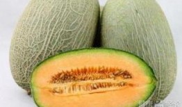 农村人吃哈密瓜视频,农村人共享哈密瓜丰收喜悦