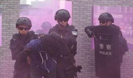 开放吃瓜群众视频,一场全民参与的娱乐盛宴