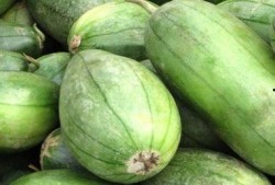 极品仙芋吃瓜视频下载,轻松获取热门内容！