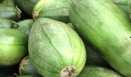 极品仙芋吃瓜视频下载,轻松获取热门内容！