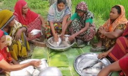 印度大户人家吃瓜视频,揭秘大户人家吃瓜背后的奢华生活