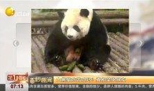 吃瓜视频笑哭全场,笑哭全场