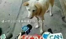 卧槽群众吃瓜视频,揭秘网络热点的背后真相