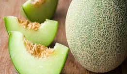 喂宝宝吃哈密瓜视频大全,视频大全回顾