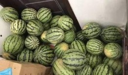 最新一期吃瓜视频,娱乐圈风云再起，明星幕后故事大曝光！