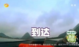 吃瓜意外落水视频,吃瓜群众成焦点