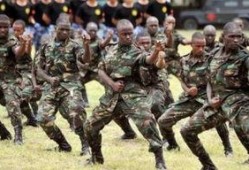 浙江东方教官吃瓜视频,揭秘军营生活幕后趣闻