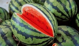 吃瓜视频教程大全集,轻松掌握短视频制作技巧