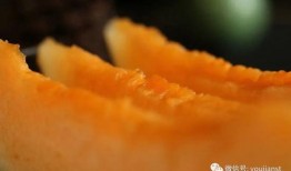 吃瓜群众认真吃瓜子视频,揭秘吃瓜群众的热闹瓜子时光