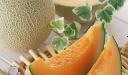 大鹅吃哈密瓜视频教程,趣味视频教程带你领略田园美味