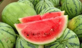 西安今日吃瓜事件视频,一场网络热议的街头冲突瞬间