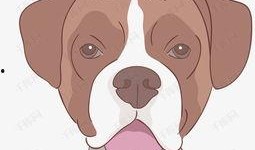 狗头吃瓜素材视频下载免费,萌态十足，免费素材视频带你笑翻天