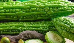 木藤瓜怎么吃最好吃呢视频,视频教你如何吃出最佳口感