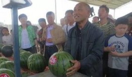 韩城群众吃瓜视频最新,一场全民参与的夏日盛宴