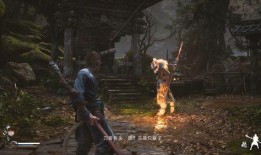 吃瓜人遇到狼人视频播放,视频曝光引网友热议