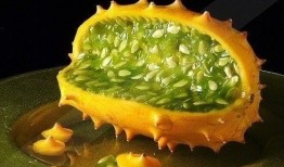 东北人吃角瓜干视频播放,角瓜干美食之旅