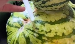 搞笑快速吃瓜视频下载安装,搞笑吃瓜视频下载安装指南