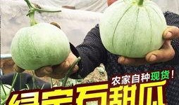 快乐的吃瓜怎么做视频