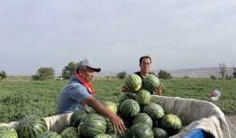 莱芜区吃瓜视频公司