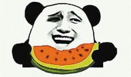 吃瓜群众认真吃瓜子视频,揭秘吃瓜群众的热闹瓜子时光