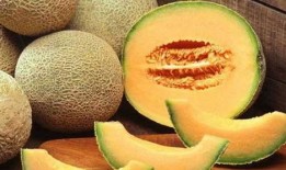 吃哈密瓜钓鱼视频大全集,趣味视频大盘点