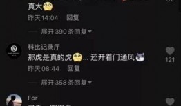 五月份吃瓜事件视频,揭秘网络热议背后的真相与争议