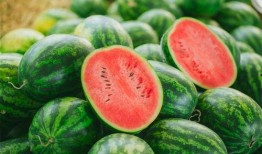 推背吃瓜视频,短视频时代的趣味解读与现象分析