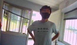 应急车道停车吃瓜视频,安全意识与公共道德的反思