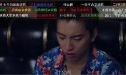 谁输了谁吃瓜视频,瓜田笑谈间——揭秘“谁输了谁吃瓜”的趣味视频现象