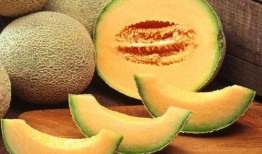 吃哈密瓜对人好不好呀视频,吃哈密瓜对人体健康的五大好处