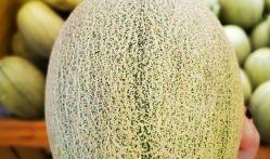 冬天吃蜜瓜好不好呀视频,冬天吃蜜瓜的适宜性探讨