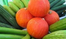 蒲瓜菜怎么吃最好吃视频,视频教你家常烹饪秘诀