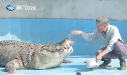 鳄鱼吃瓜的视频,瓜果盛宴成视觉盛宴