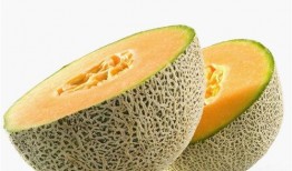 冬季哈密瓜怎么吃合适视频,冬季哈密瓜的多样美味食用指南