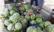 昌邑金店事件吃瓜视频,揭秘吃瓜群众视角下的惊人真相