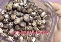 吃哈密瓜吃出虫的视频,一场意外的“虫虫大作战”