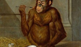 女的吃瓜像猿猴搞笑视频,女子吃瓜如猿猴，萌态十足引网友爆笑