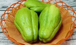 老鼠吃佛手瓜视频大全图片,佛手瓜美食视频大盘点