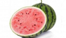 吃麒麟瓜有什么营养吗视频,吃出健康与活力