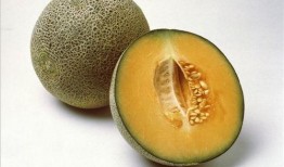 长垣吃瓜视频教程,轻松掌握瓜类美食制作技巧