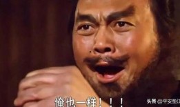 吃瓜群众黑脸悠闲视频,揭秘网络视频背后的趣味人生