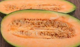 吃哈密瓜的高手视频,哈密瓜达人教你轻松解锁美味秘诀