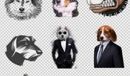 狗头吃瓜素材视频下载免费,萌态十足，免费素材视频带你笑翻天