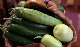 最近很火的网红吃瓜视频,揭秘娱乐圈幕后真相，带你领略网络红人的魅力