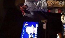 景区吃瓜小姐姐视频