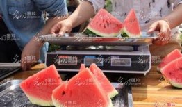 太和恶心吃瓜视频,揭秘网络恶搞背后的真相