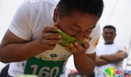 西瓜视频吃瓜大战,一场全民娱乐的狂欢盛宴