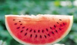 木藤瓜怎么吃最好吃呢视频,视频教你如何吃出最佳口感